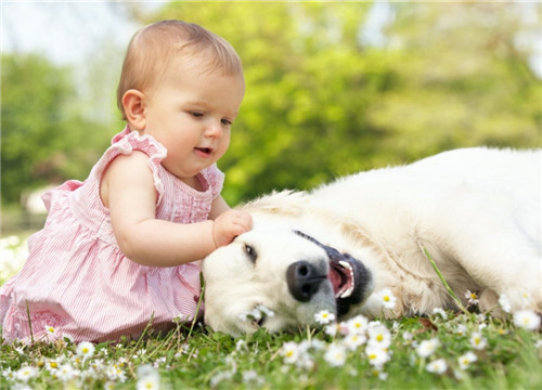 男孩名字出自楚辞