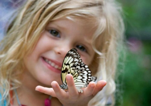 诗经楚辞论语取名女孩