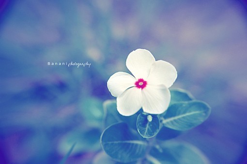 姓黄的男孩新颖名字