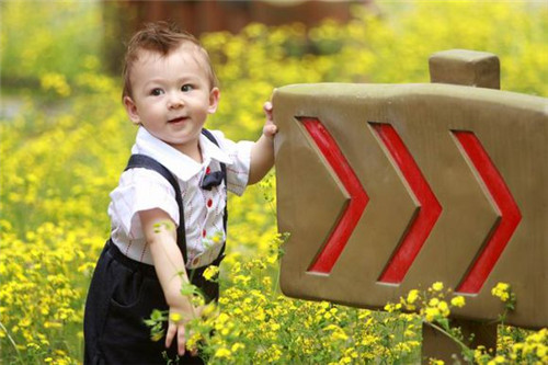 虎女宝宝取名比较好的字