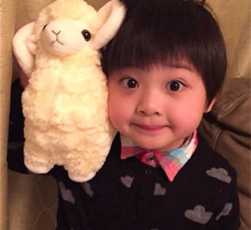 姓刘起名三个字男孩名字大全