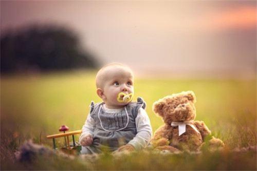 虎年刘姓女宝宝起名