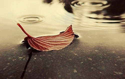 刘奕霄名字打分_刘奕霄姓名测试