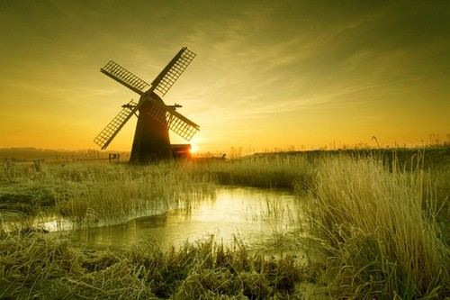 刘芮语名字打分_刘芮语名字解释