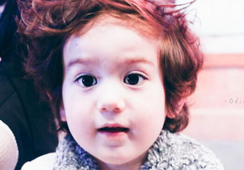 李姓属虎男孩名字大全