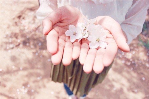 李沐珂名字打分_李沐珂姓名打分测试