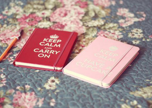 姓李的女孩名字最高分-李沁恩名字打多少分