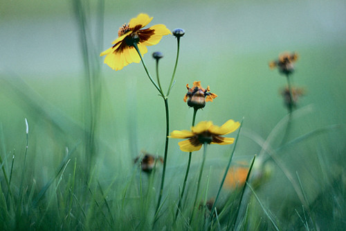 李静依名字打分_李静依名字多少分