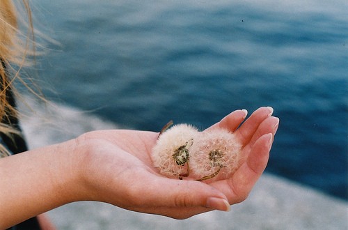 李诗钰名字打分_李诗钰名字的含义