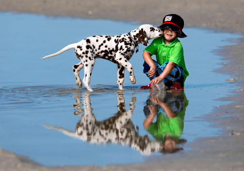 虎年窦氏宝宝起名