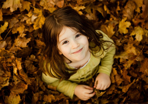 杜姓起什么名字