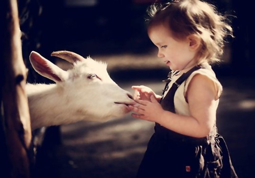 龙凤胎姓王有气质名字