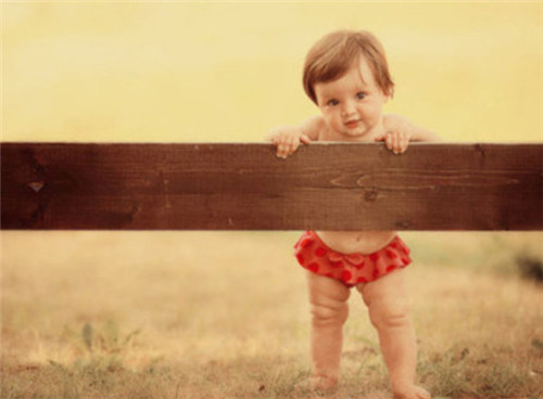 五行缺火的男孩取名精选虎宝宝