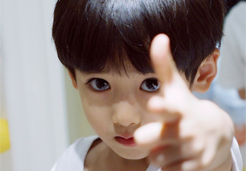 五行属木的起名好听的