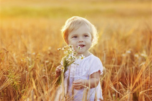女孩五行属水的字