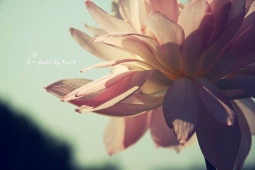 吴昊谦名字打分_吴昊谦姓名打分测试