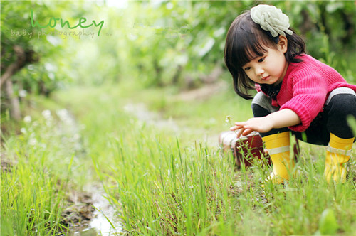 姓杨的女孩名字