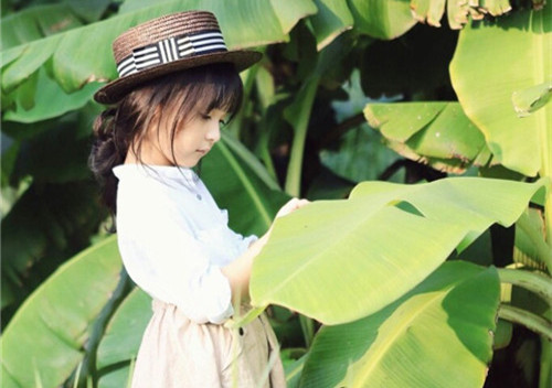 杨姓女孩取名2024虎年