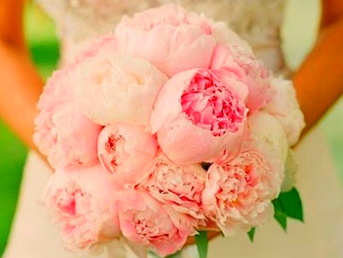 杨珺尧名字打分_杨珺尧测试打分