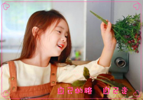 姓鲍的好听名字