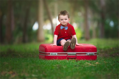 张姓名字大全2024属龙张俊的