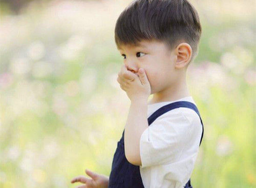 张亚菁名字打分_张亚菁名字打分多少