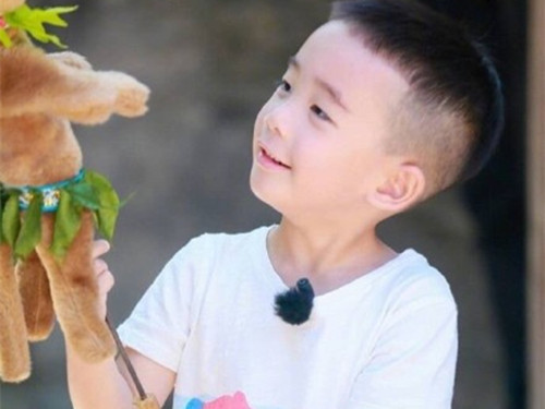 张峰嘉名字打分_张峰嘉名字多少分