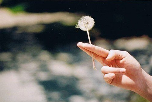 张宇铄名字打分_张宇铄这个名字怎么样