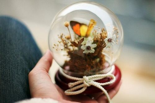 张岚萱名字打分_张岚萱姓名测试