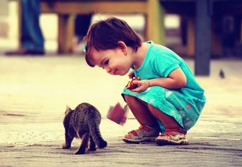 赵筱雅名字打分_赵筱雅周易名字打分