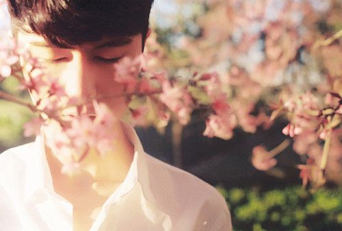 赵启宸名字打分_赵启宸名字打多少分