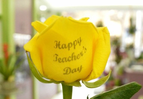 赵怎么起名好听的名字