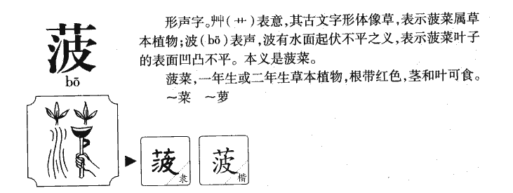 菠字取名寓意和含义_菠字五行属什么