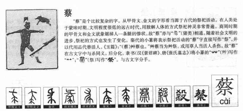 蔡字取名寓意和含义_蔡字五行属什么