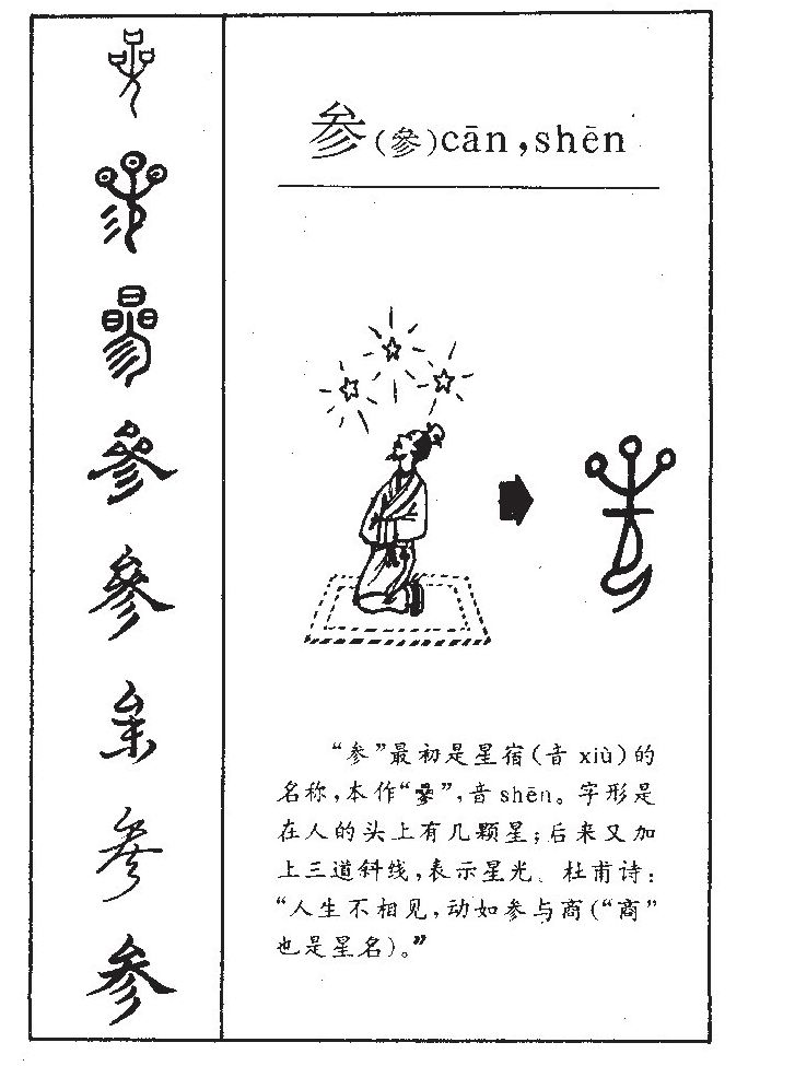 参字取名寓意和含义_参字五行属什么