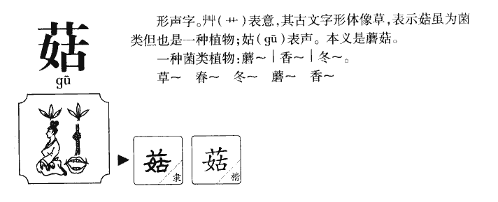 菇字取名寓意和含义_菇字五行属什么