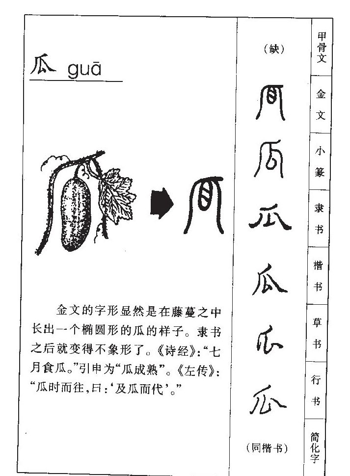 瓜字取名寓意和含义_瓜字五行属什么