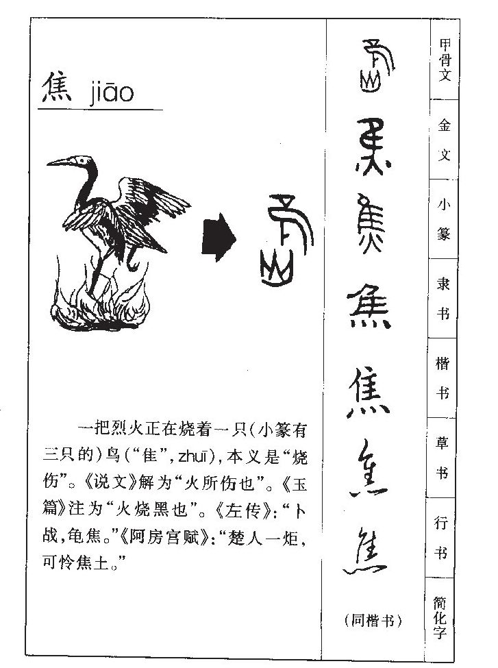 焦字取名寓意和含义_焦字五行属什么