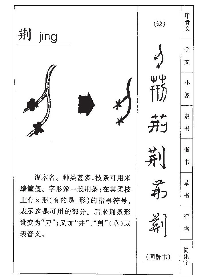 荆字取名寓意和含义_荆字五行属什么