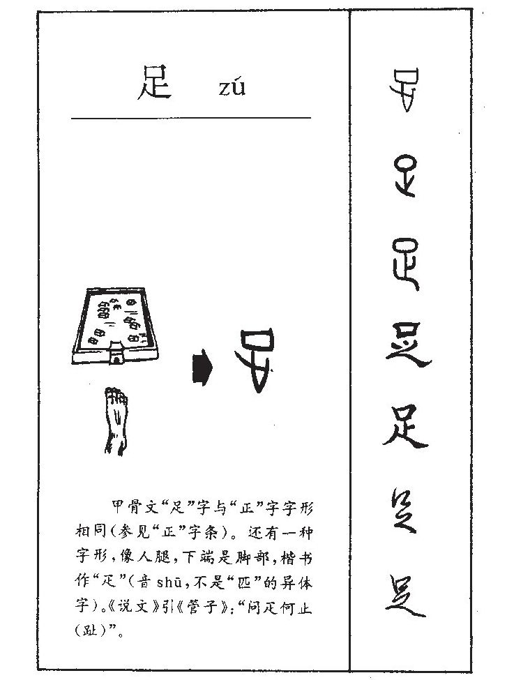 足字取名寓意和含义_足字五行属什么