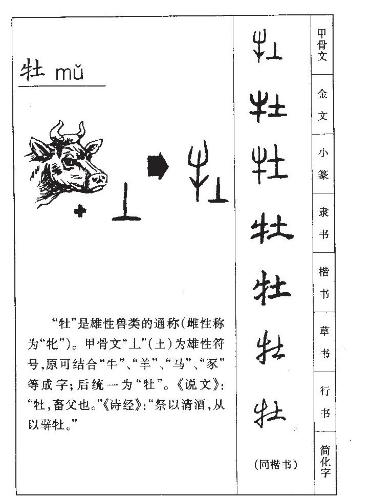 牡字取名寓意和含义_牡字五行属什么