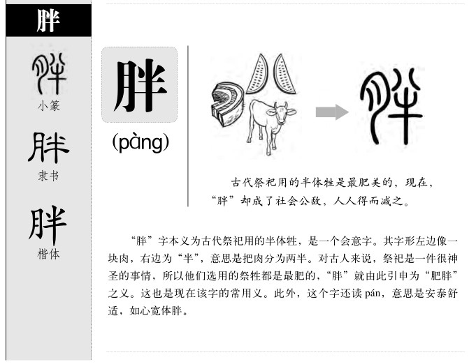 胖字取名寓意和含义_胖字五行属什么