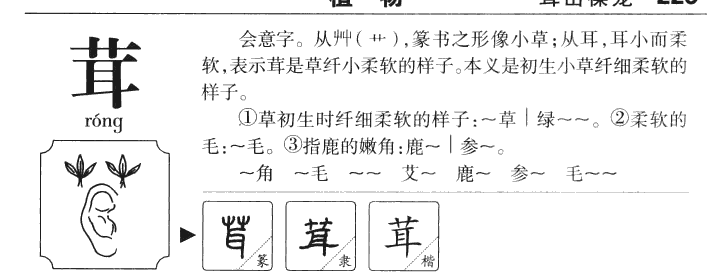 茸字取名寓意和含义_茸字五行属什么