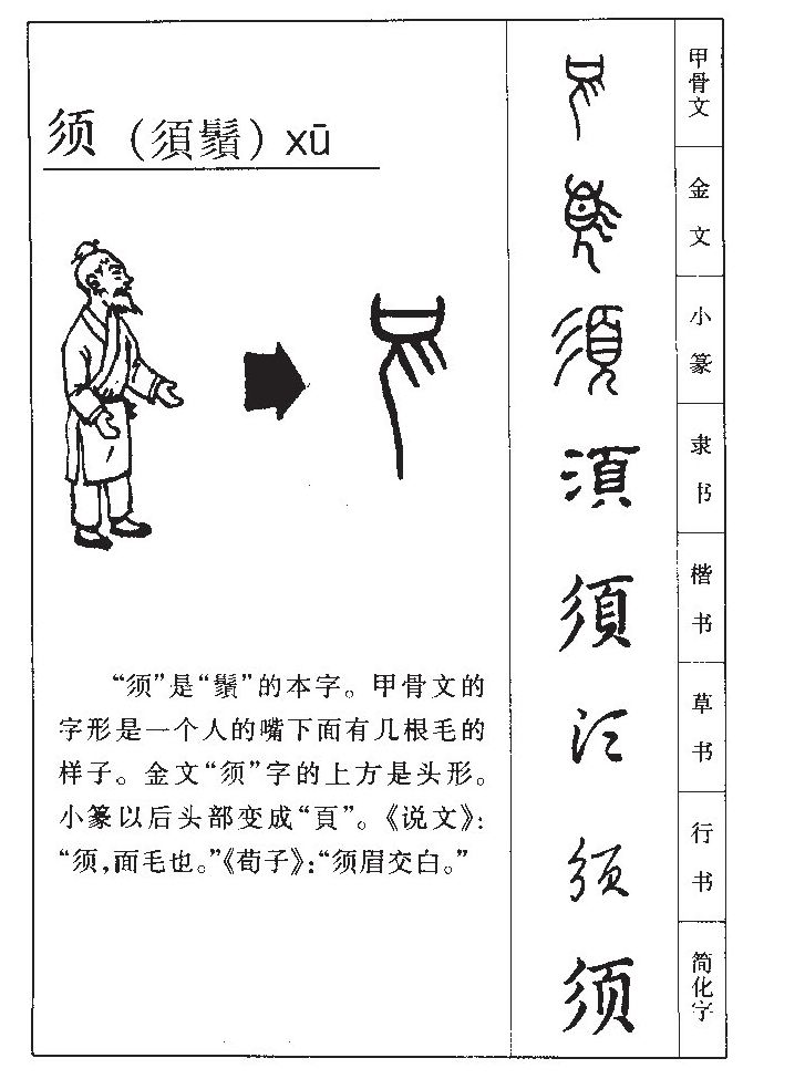 须字取名寓意和含义_须字五行属什么