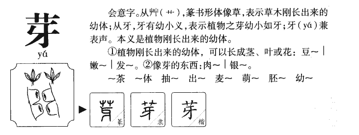 芽字取名寓意和含义_芽字五行属什么