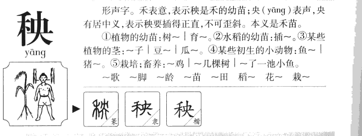秧字取名寓意和含义_秧字五行属什么