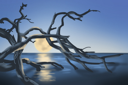 可怕的八字公司取名有你想不到的幕后