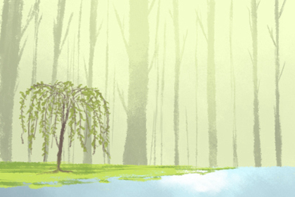 公司名字怎么取才好听 为你指点迷津