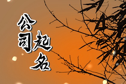 大气简洁的公司名字 好听的公司名字大全免费