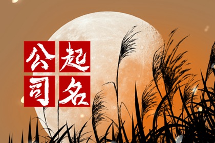 生肖龙开公司 高端大气的名字怎么起